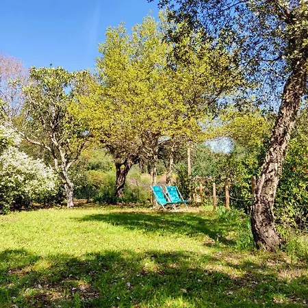 Oda ve Kahvaltı Casa Do Cabeco Caramulo