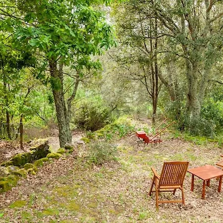 Casa Do Cabeco Oda ve Kahvaltı Caramulo