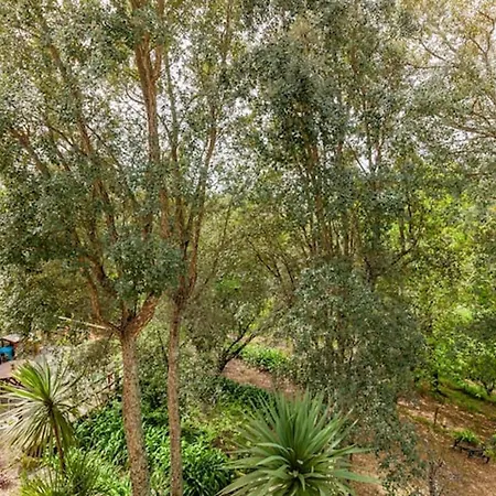 Casa Do Cabeco 4* 카라물로