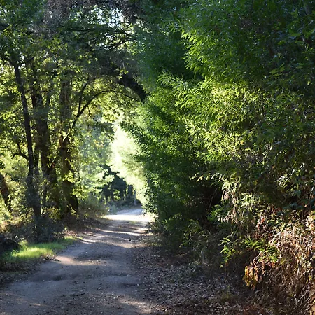 Casa Do Cabeco 4* 카라물로