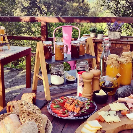 Casa Do Cabeco Bed and breakfast Caramulo