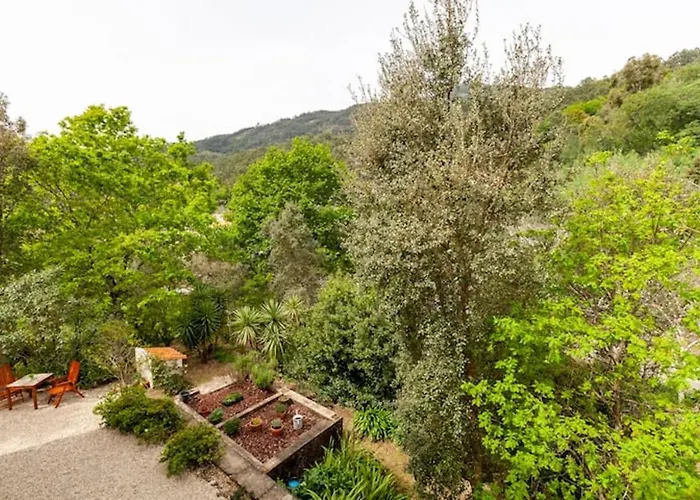 Alojamento de Acomodação e Pequeno-almoço Casa Do Cabeço Caramulo